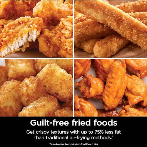 Air Fryer Pro 4-in-1 with 5 QT Capacity